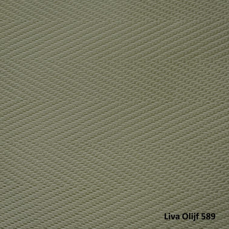 Dommelin Liva Olijf 589